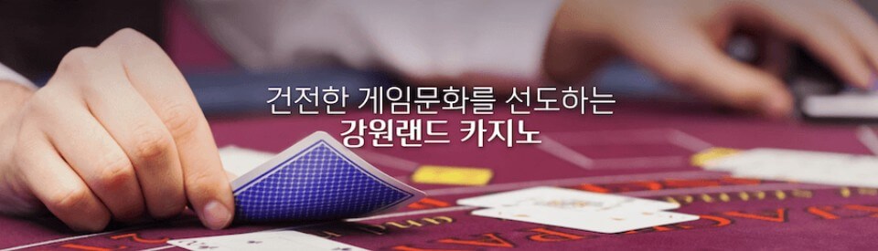 한국 온라인 카지노 강원랜드 카지노 한국 카지노 강원랜드 후기 오프라인 카지노 내국인 출입 가능 카지노