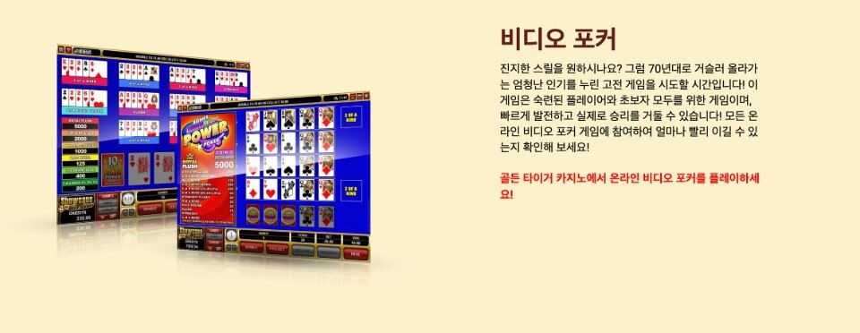 해외 카지노 사이트 골든 타이거 카지노 리뷰 골든 타이거 카지노 후기 골든 타이거 카지노 비디오포커 온라인포커 사이트